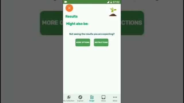 PlantSnap identifies a Calamus (Acorus calamus) смотреть онлайн