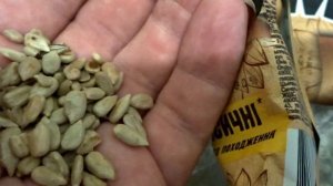 Что будет если покупать очищенные жаренные семечки