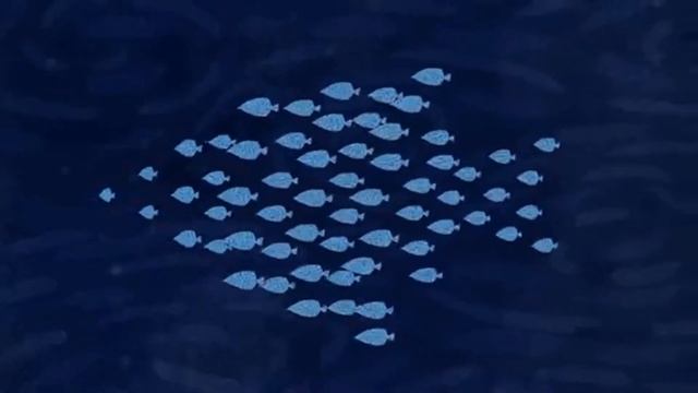 Косяк рыб и МЛМ. Что общего? смотреть онлайн