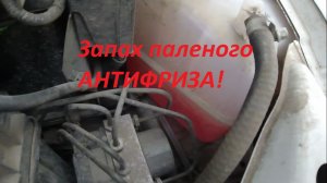 Запах паленого АНТИФРИЗА! - смотрим помпу и ГРМ