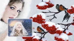 Белый снег - Александр Терещенко