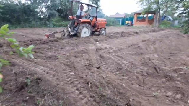 Как правильно убирать поросль деревьев на участке смотреть онлайн