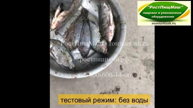 Машина для удаления внутренностей у мелкой рыбы МТ-10 от РостПищМаш