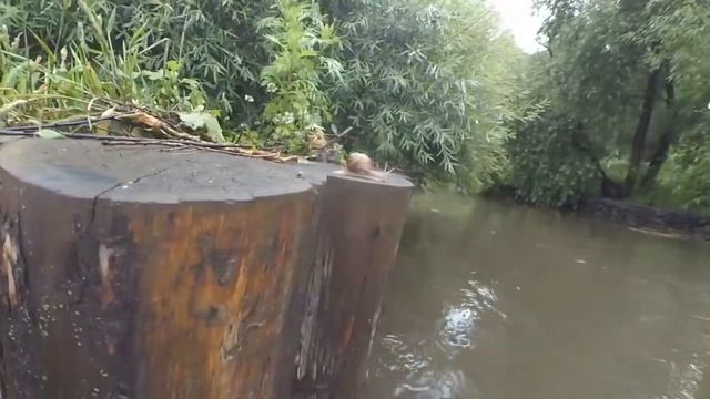 СПУСК ПО ЯУЗЕ смотреть онлайн