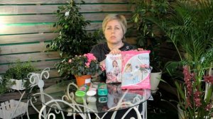 Азалия ? Почему вянет цветок?