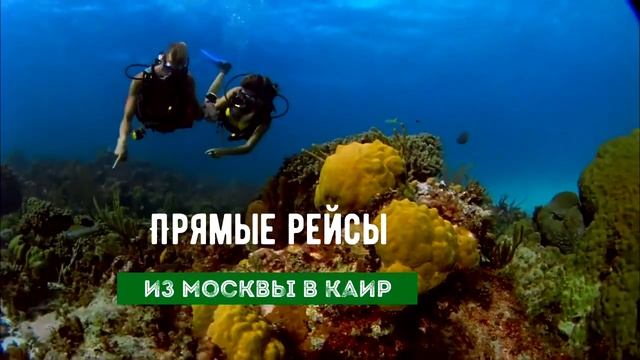 Туры в Египет