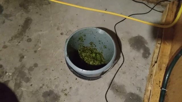 Карпы в самодельном бассейне # 2 Чистка бассейна смотреть онлайн