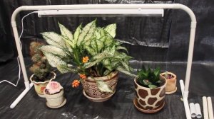 Регулируемая подставка для фитосветильника