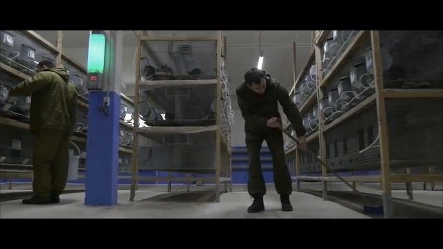 Крупнейшая шиншилловая ферма