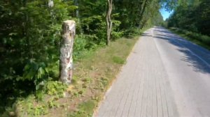 Светлогорск, Майское озеро, Мельничный пруд, парк Муза. (ninebot)