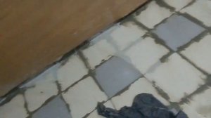 Затирка швов плитки плиточным клеем