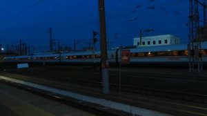 Скоростные поезда "Сапсан" Москва - Нижний и "Ласточка" Нижний -Москва на вокзале во Владимире