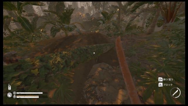 Switch 【GREEN HELL】 グリーンヘル実況＃11 オープンワールドサバイバルゲームで生存をかけてジャングルの奥地を攻略していく！ смотреть онлайн