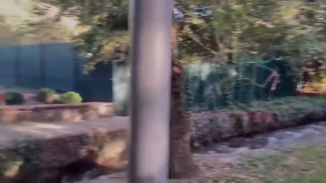 СИМВОЛ МОЕЙ МАЛОЙ РОДИНЫ смотреть онлайн