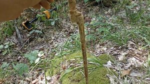 Это место нас не отпускает.  Коп Туапсинское направление.