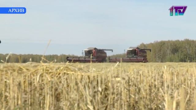 06.10.22. Уборочная кампания в Северо-Казахстанской области подходит к завершению смотреть онлайн