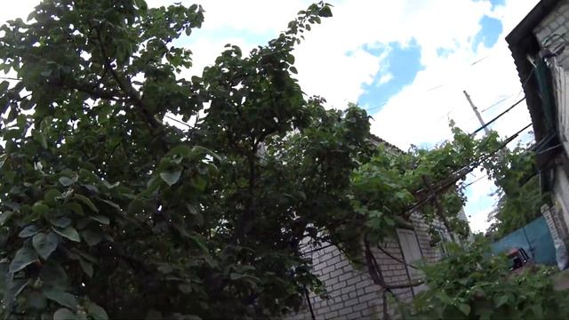 Влог: Как правильно выращивать клубнику. Что произошло с огородом. Иван Улыбашев. смотреть онлайн