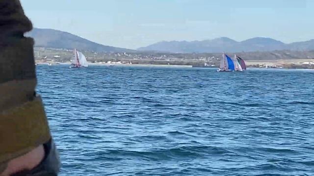 На параллельных курсах СК-21 под генуей, 29-й класс под всеми парусами смотреть онлайн