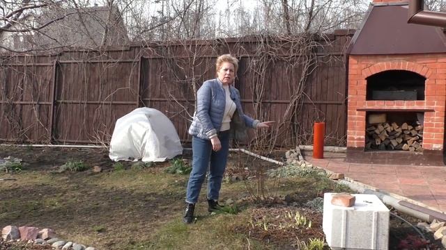 СЕЗОН 2020: ОСНОВНЫЕ РАБОТЫ В САДУ В АПРЕЛЕ!