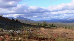 _Вишерский_ - государственный заповедник.mp4