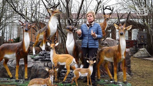 Декоративные олени ?Чем украсить дачу и сад?? смотреть онлайн