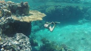 Лучшая экскурсия Египта! Риф Сатая, Марса Алам дом Дельфинов