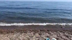 Крым  Семидворье пляж  набережная