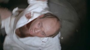 Полосатый рейс Иди к своим тиграм