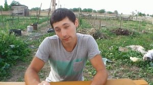 сколько я заработал на редиске