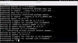 029 Setting up an OpenVPN client on Linux
