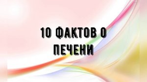 печень, её функции, полезные продукты для неё, её поддержка и восстановление