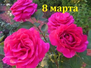 С ПРАЗДНИКОМ 8 МАРТА!
