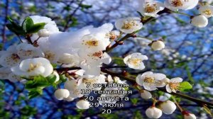 Как подобрать красивую прическу: отзывы