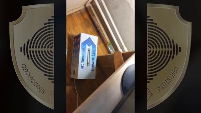 Как убрать запах кошачьей мочи в квартире? Аренда озонатора - отзыв об использовании