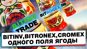 BITINV,  BITRONEX, CROMEX - МНОГОЛИКИЙ МОШЕННИК (ЭКСПРЕСС-ВИДЕО)