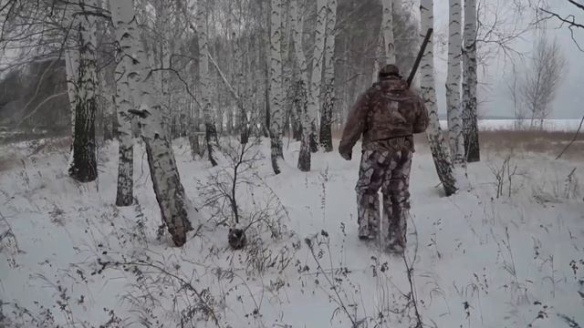 Удачная охота на зайца в Самарской области. Смольковское охотхозяйство. смотреть онлайн