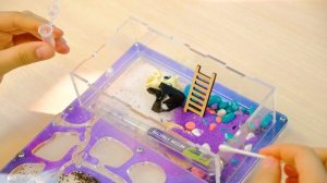 ПОПЫТКА МУРАВЬЕВ СБЕЖАТЬ: НАНОСИМ АНТИПОБЕГ И УБИРАЕМ ФЕРМУ