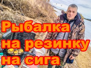Рыбалка на резинку на сига. Часть 1 🚤🐟🐟
