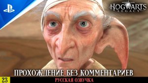 «ИСПЫТАНИЕ НИОВ ФИЦДЖЕРАЛЬД» ✪ РУССКАЯ ОЗВУЧКА - Hogwarts Legacy  Прохождение — Часть 23