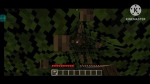 no land claim survival smp ? public smp server for java+pe all version || free to join 24/7 online