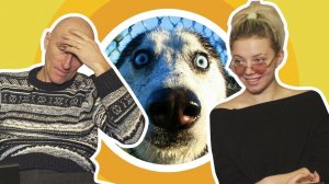 ВЗРОСЛЫЕ И МОЛОДЫЕ ОТГАДЫВАЮТ УПОРОТЫЕ ЗАГАДКИ