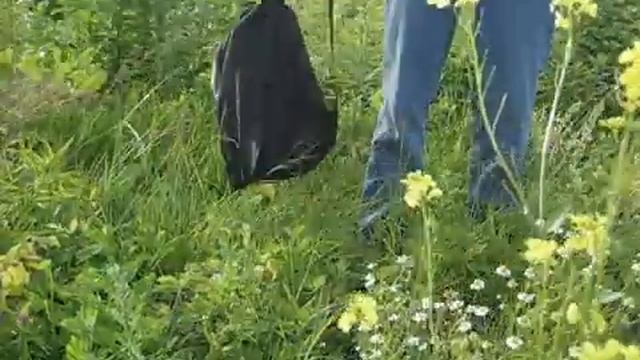 Елена Фрог "Без любви" (для сказки "Синие розы") смотреть онлайн