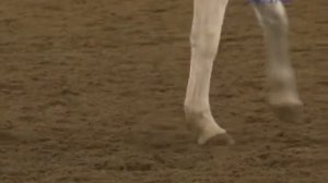 В Крымской конно-спортивной школе прошло открытие крытого манежа.