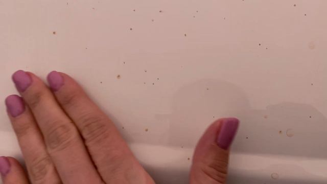 М А Р Т | Уют | Констанц - Германия #жизньвшвейцарии #констанц