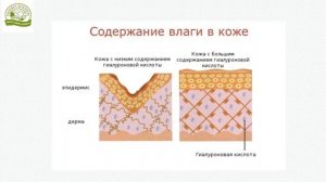 Ночной крем. Почему именно BREMANI CARE!