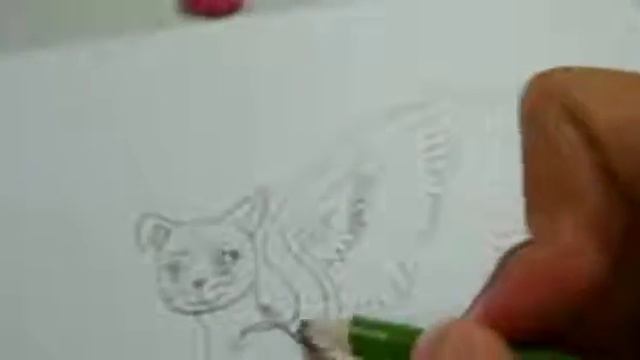 Как я рисую котов воителей . смотреть онлайн