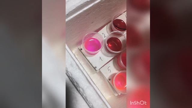 Эксперимент над антифризом. Супер заморозка. смотреть онлайн