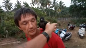 КАК научить ВОРОНУ говорить