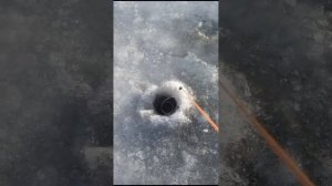 Зимняя рыбалка на Камчатке