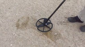 Золото Чёрного моря